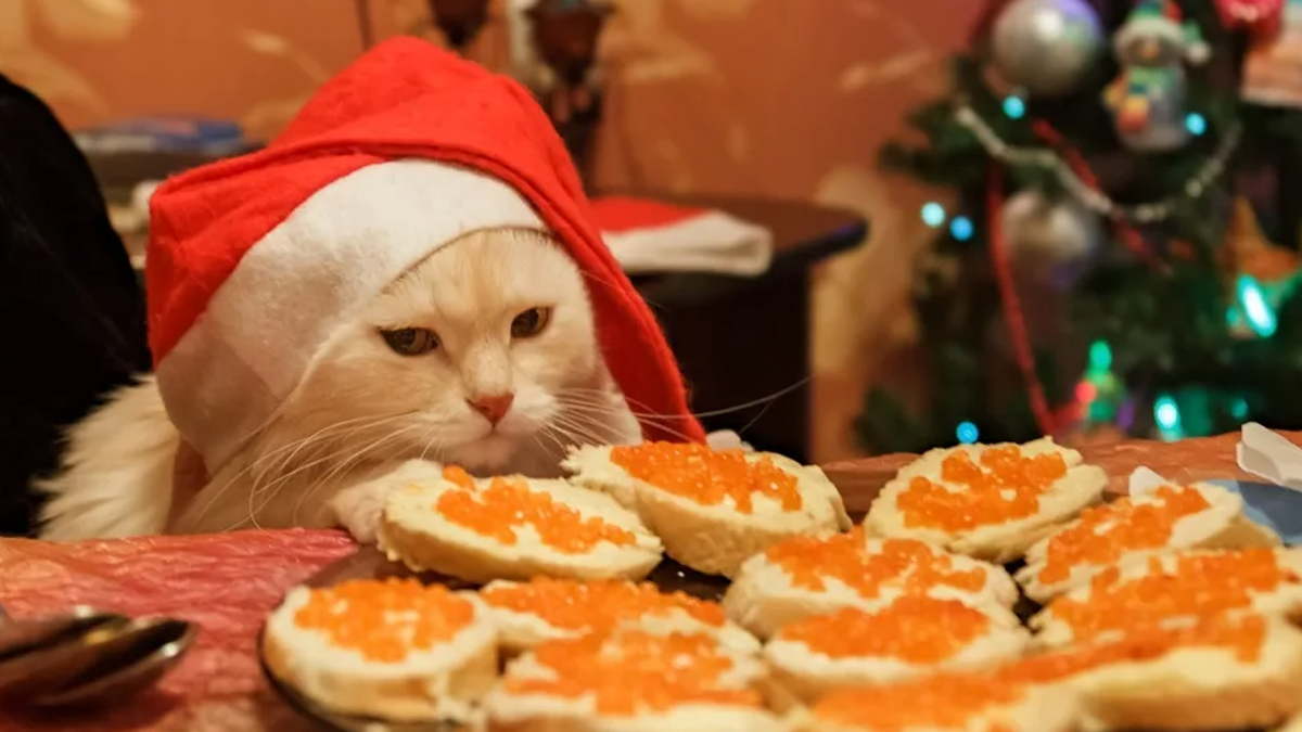 Что происходит с валютой в России?