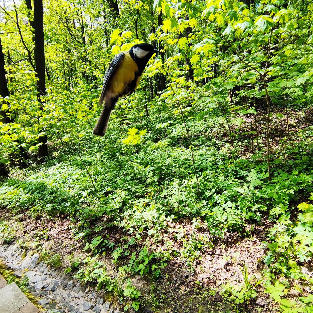 Сон про лампу и врача