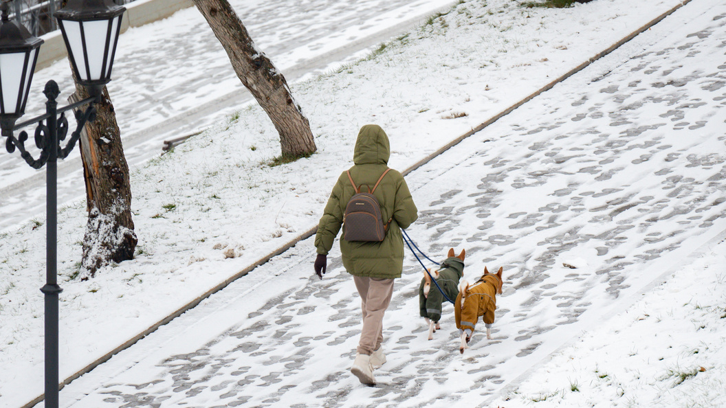    Фото: Ruslan Yarocky/Globallookpress