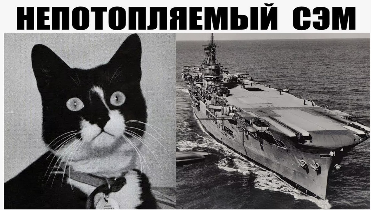 Фотография взята из свободного доступа.