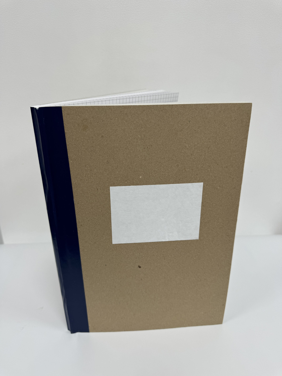 Амбарная книга в клетку