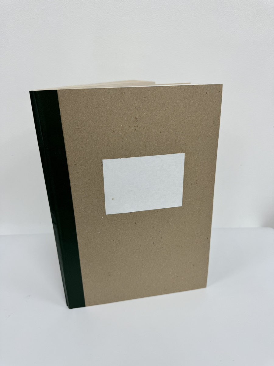 Амбарная книга в линейку