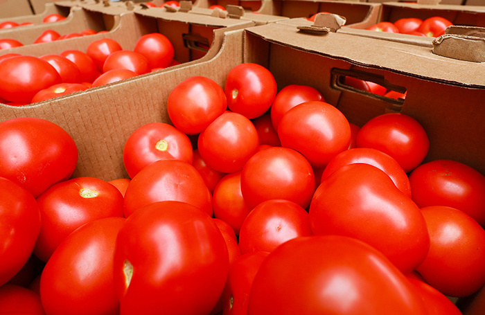    Владимир Смирнов/ТАСС