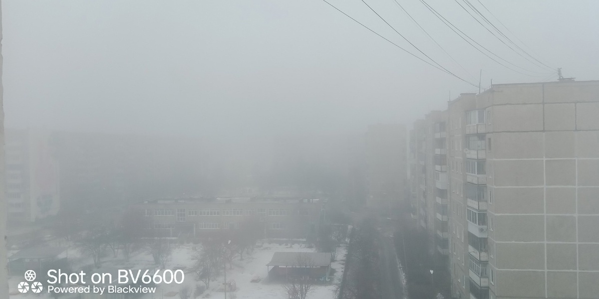 Фото: Дмитрий Вершинин 