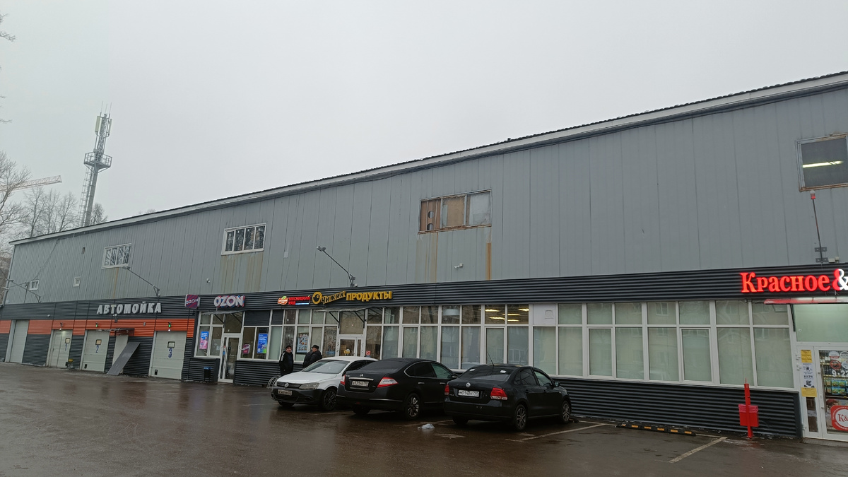 Чижик в Ивантеевке