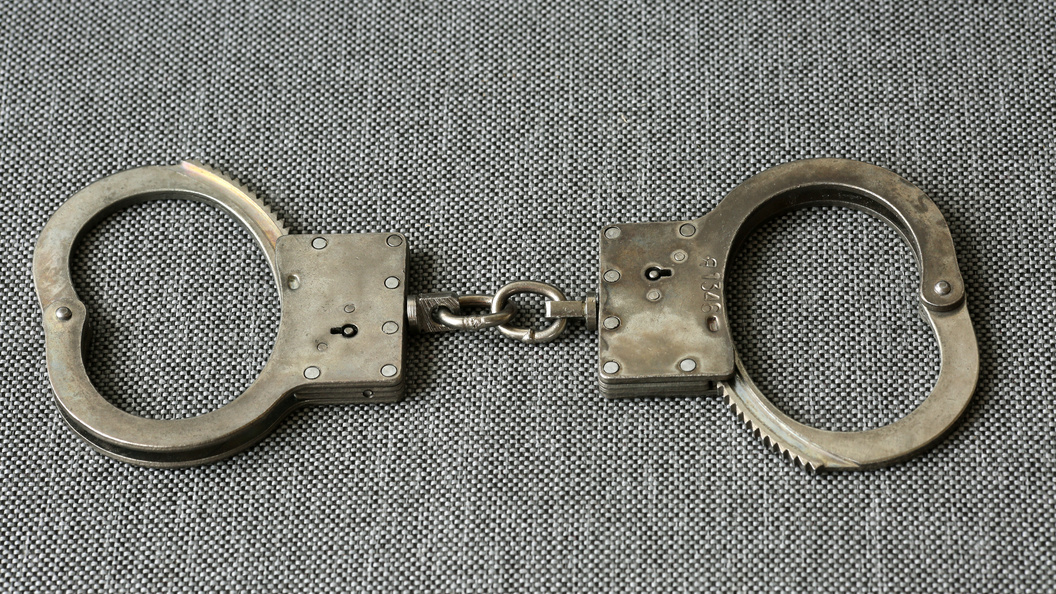    фото: Nikolay Gyngazov//Globallookpress