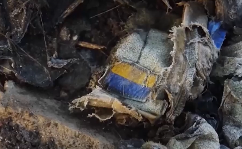    Скриншот: Минобороны России