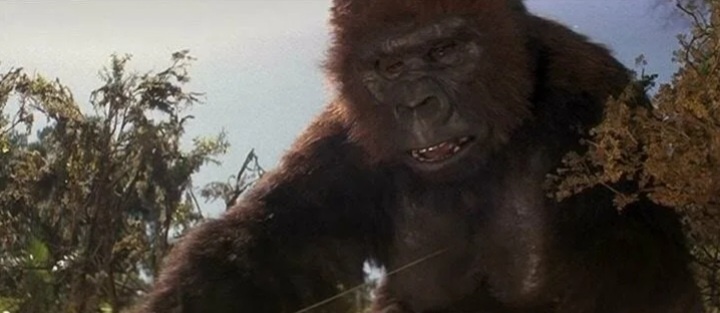 "Кинг Конг жив" 1986г.