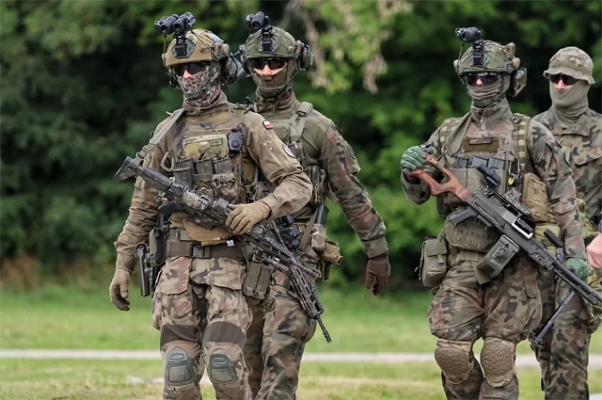    Миротворческие силы ЕС.