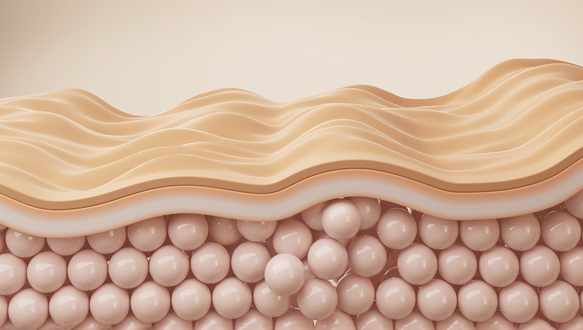 3 skin layers. 3 skin layers