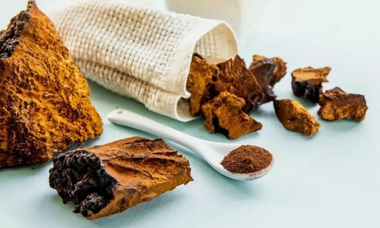    Экспорт чаги в страны Азии в 2024 году открыла Вологодская области