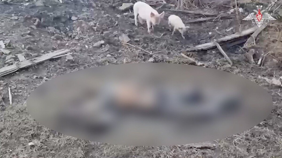    Фото: Минобороны РФ