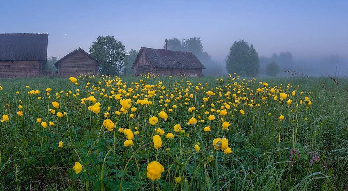 жалко ей было девочку