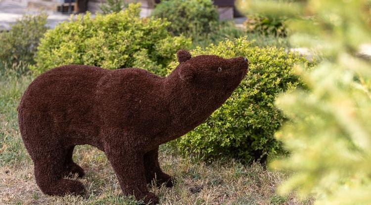 Фото: Алексей Дацковский