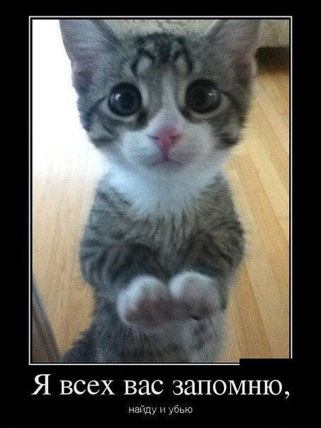 источник Яндекс-картинки