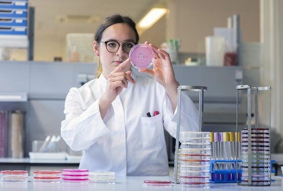     Что будет, если не лечить глистов