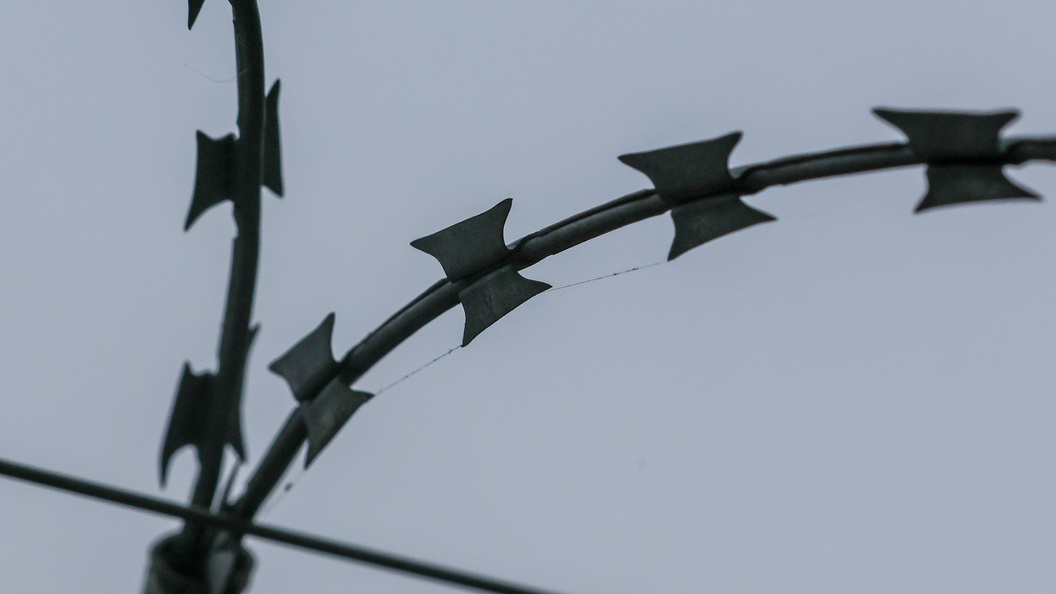    Belkin Alexey/news.ru/Globallookpress