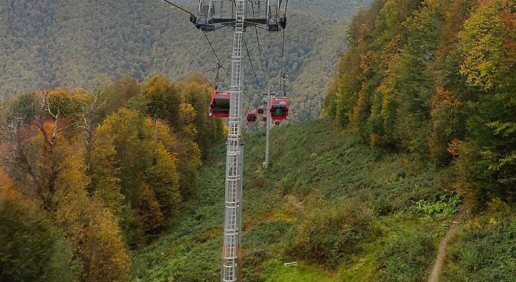    Фото: НИА "Экология"