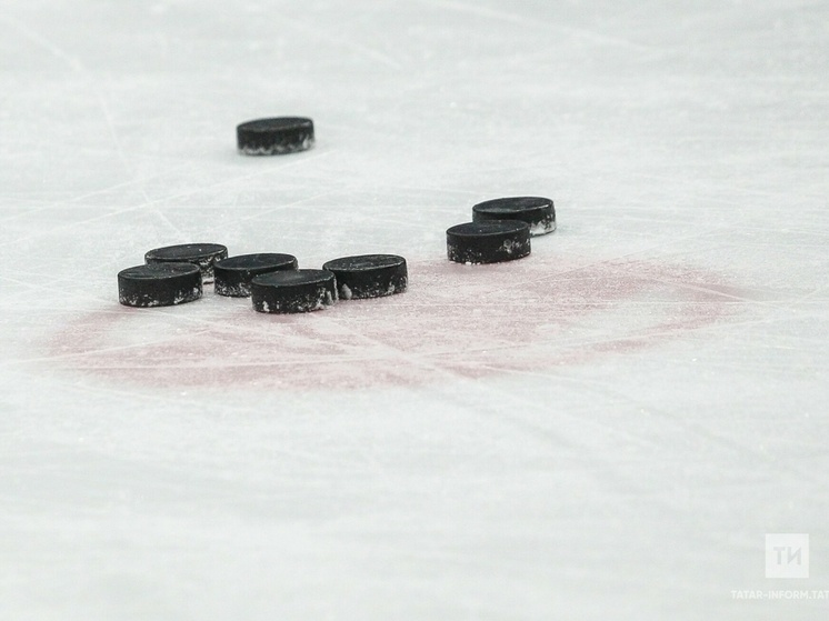     Фото: ИА "Татар-информ"