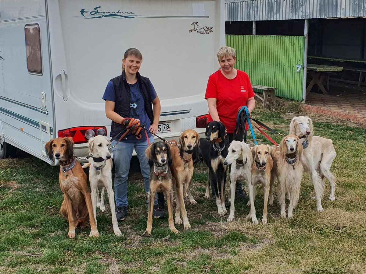Сэхра Эль Амир, Сэхра Эль Арман Мирас, я, Ирис Эль, Сэхра Эль Алия, Сэхра Эль Мор Бахт, Сэхра Эль Мирасдар, Сэхра Эль Мен Лелап, Нархаят, Ноян