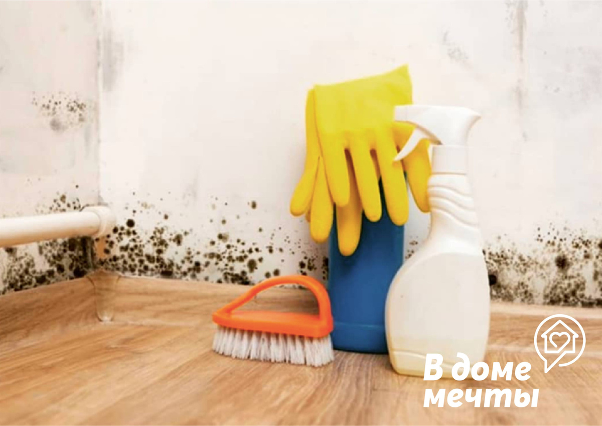 убираем плесень самостоятельно