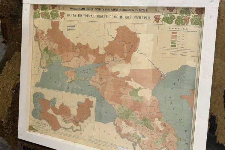    Автохтонные донские вина презентовали на конгрессе молодых ученых в Сириусе