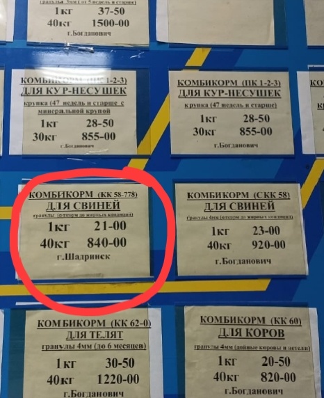 Фото автора канала.