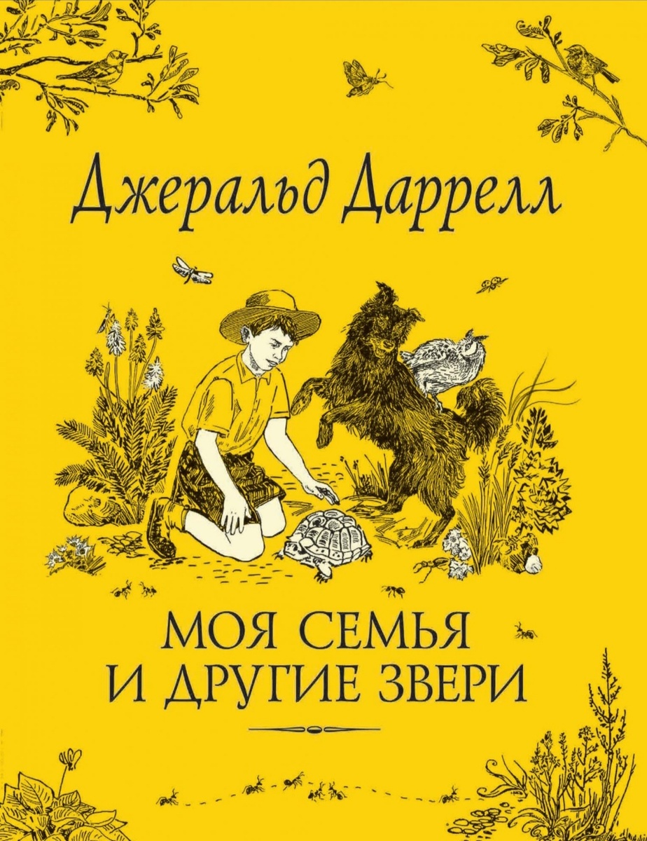 Другое изображение книги