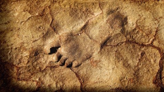    Ученые впервые нашли следы двух разных видов предков человека возрастом 1,5 млн лет в одном и том же месте Татьяна Сидорова