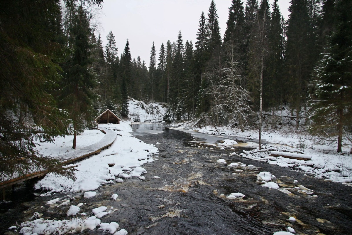 Эко-парк "Долина водопадов". Вид зимой. 