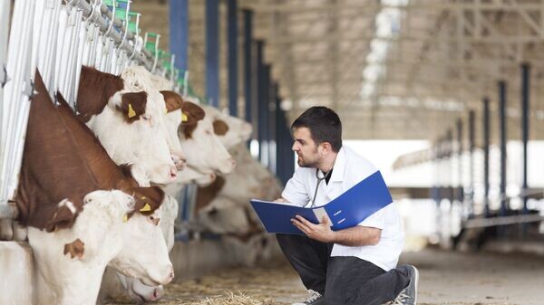    © Fotolia / Ellisia