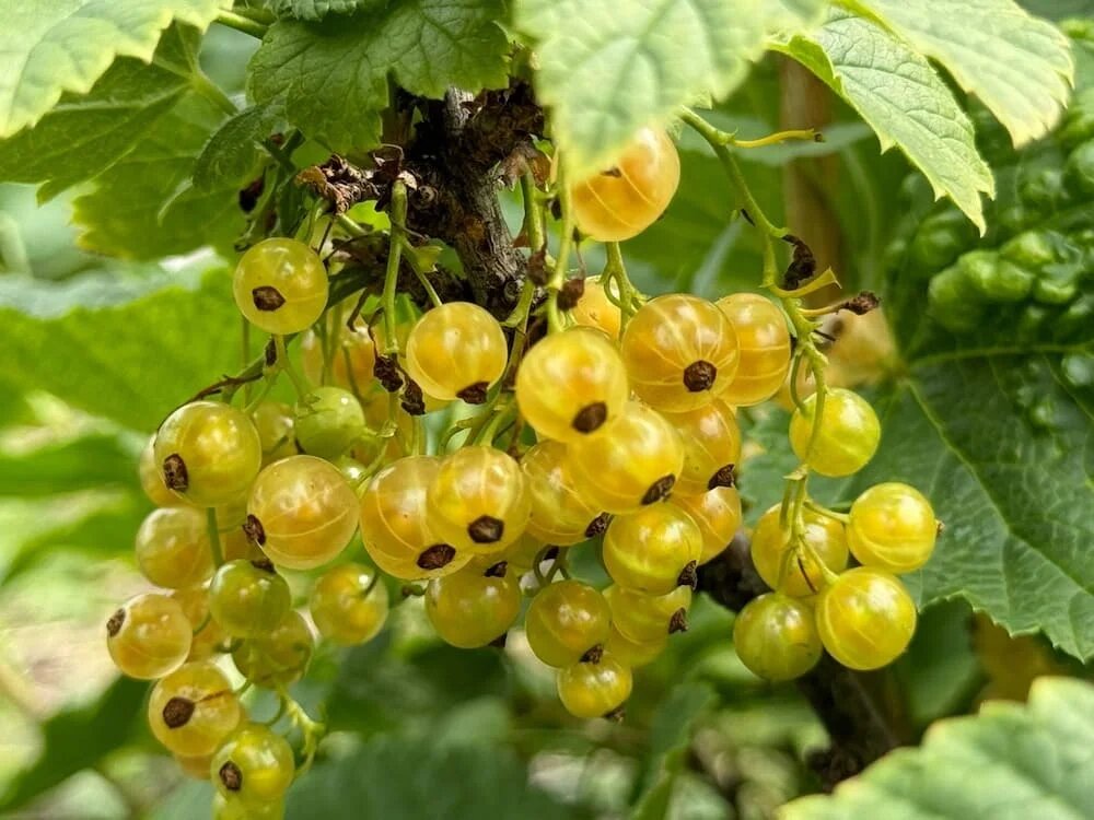 Фото: SterlitamakTime.ru / OOO «Уфатайм»