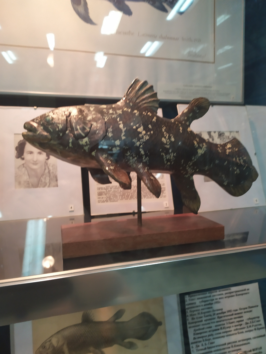 А это что за диковинная рыба?  