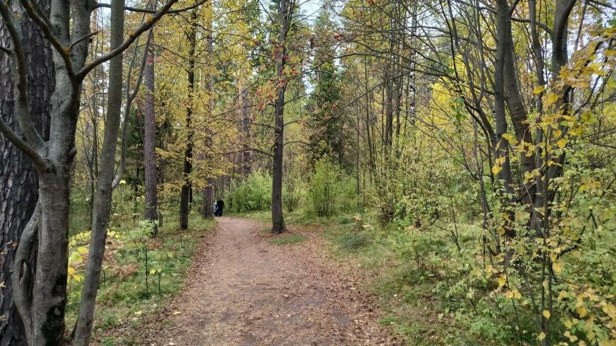     Автор: Мария Мезинская Источник: udm-info.ru