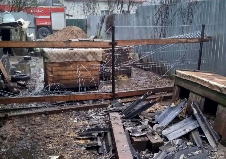 Листайте вправо, чтобы увидеть больше изображений