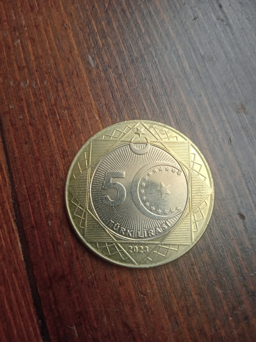 Лицевая сторона монеты в 5 турецких лир.