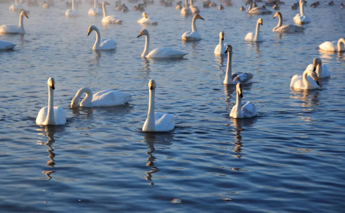    Самая красивая пейзажная зима в России: ТОП-14 мест от Калининграда до Дальнего Востока