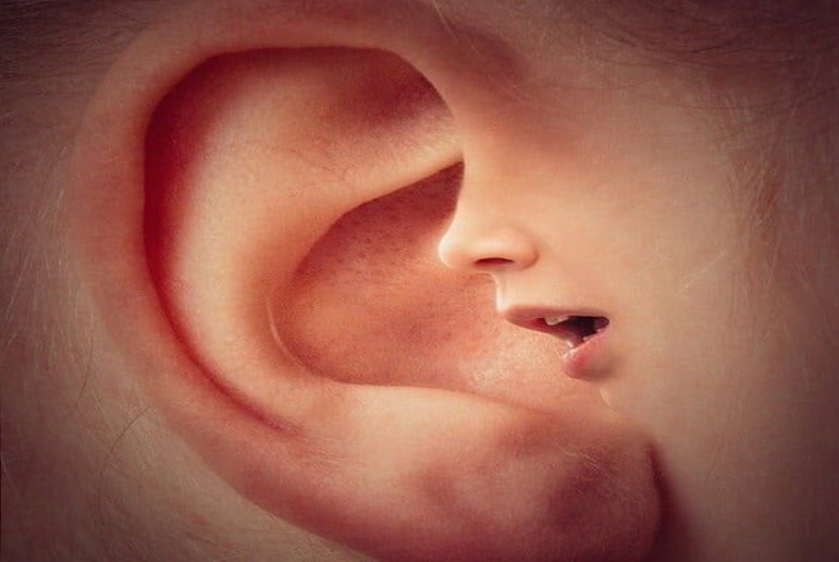 Фото: Яндекс картинки. Картинка 1