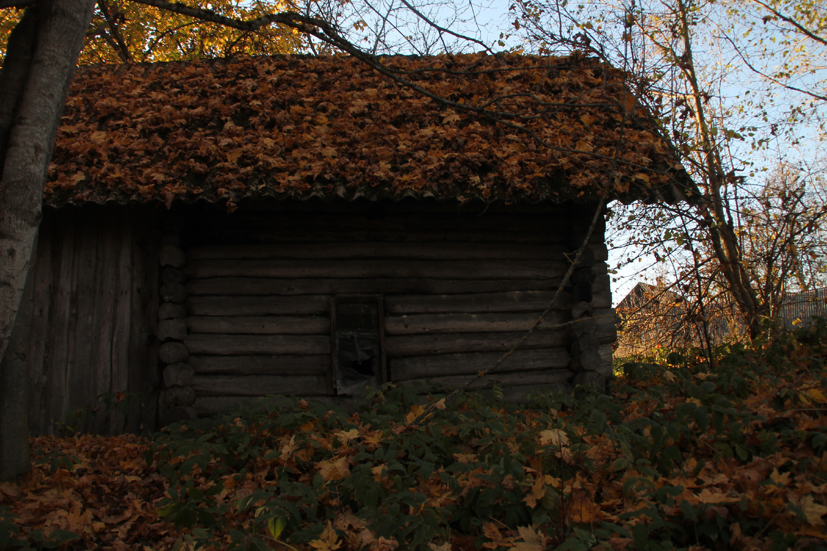 Река Утроя и домик в деревне. Фото Автора.