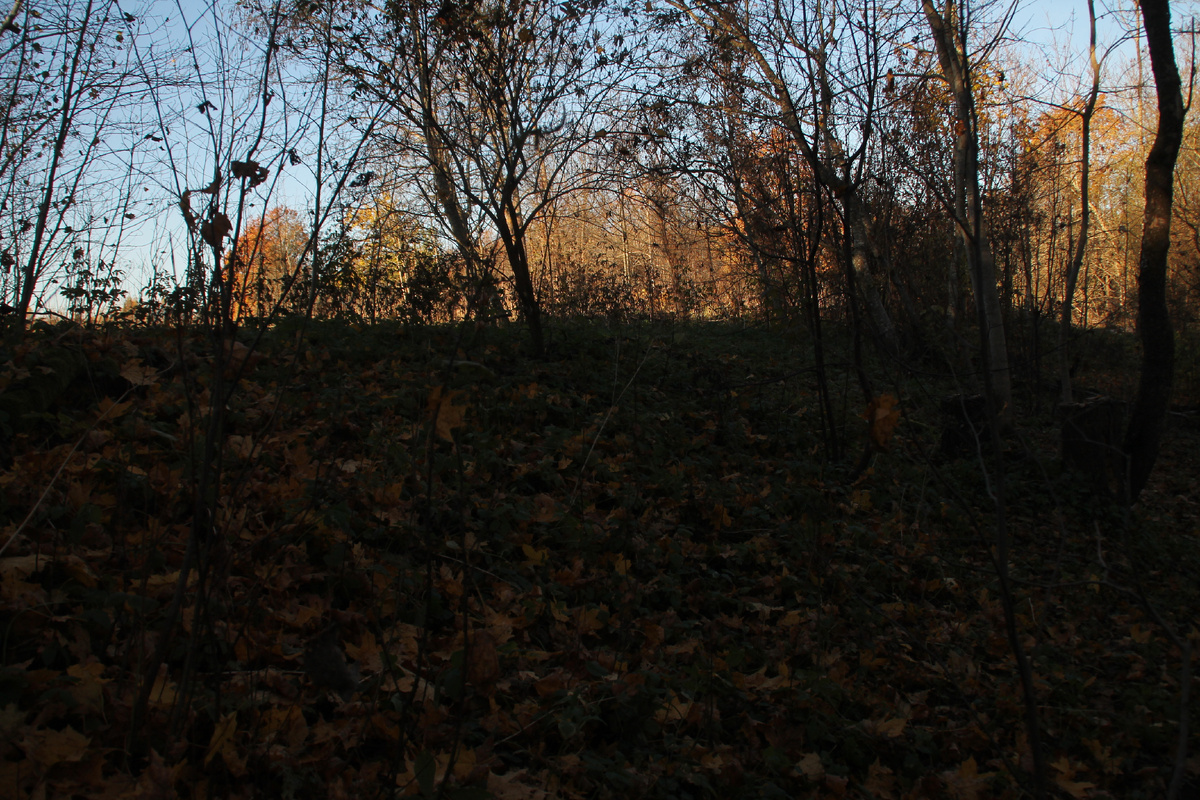 Река Утроя и домик в деревне. Фото Автора.