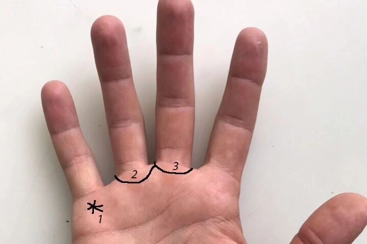     Сотрите и нарисуйте заново: зачем россияне массово меняют линии на ладонях, и при чём тут Елена Малышева