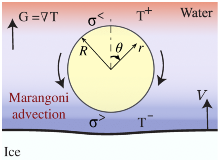   Pallav Kant et. al / Physical Review Letters, 2024