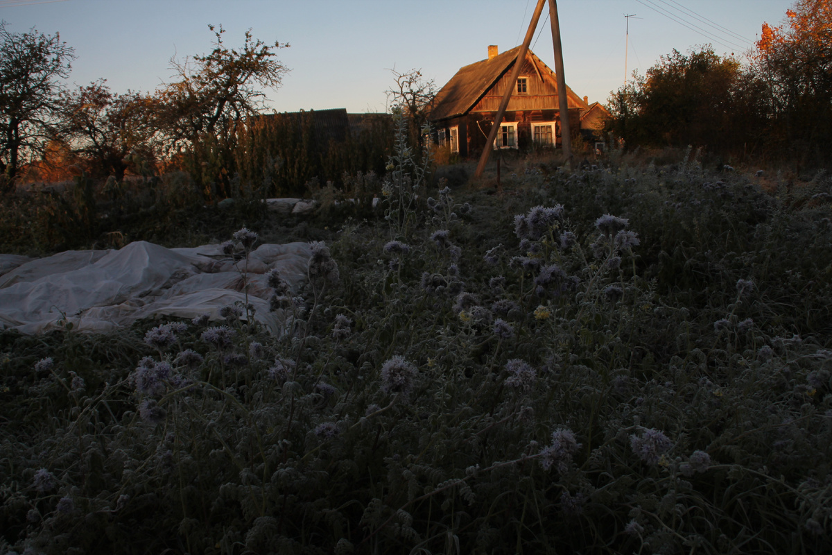 Домик в деревне Псковской области. Фото Автора.
