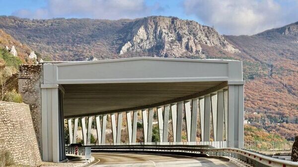    © Telegram Михаил Развожаев