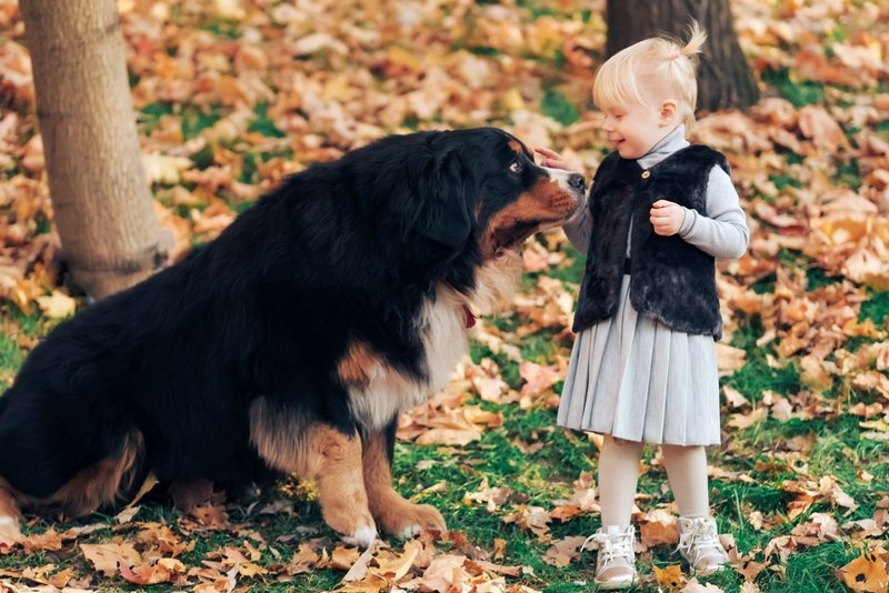 На фотографии мой Беник и дочь фотографа