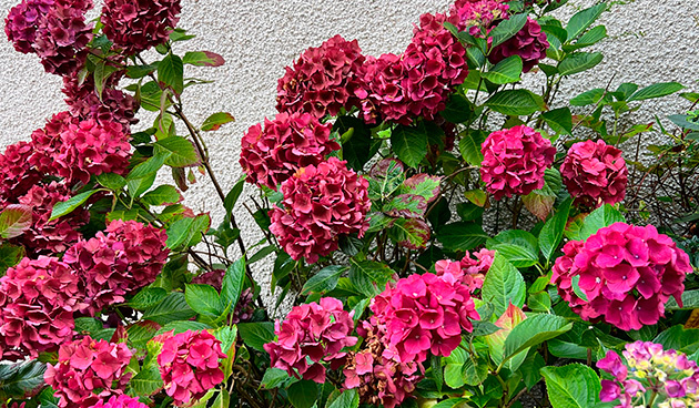    Фото: shutterstock.com