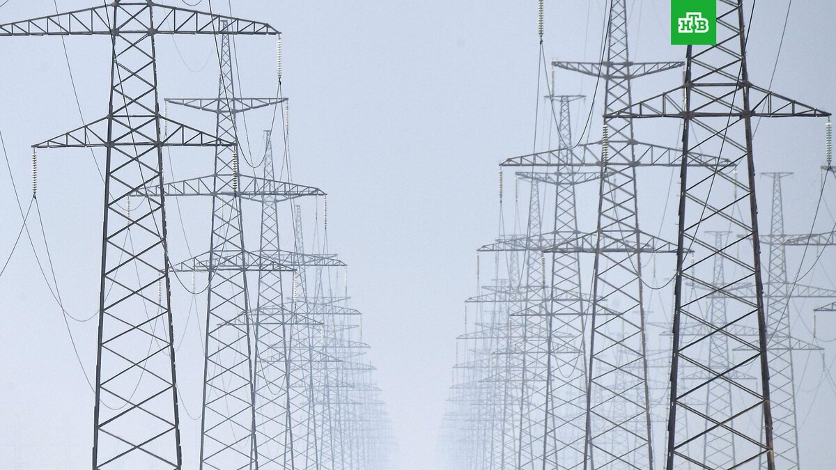    Фото: РИА Новости © 2024, Илья Наймушин