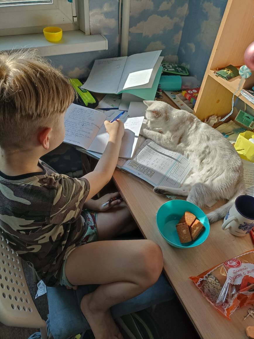 Вот так мы делаем домашку...