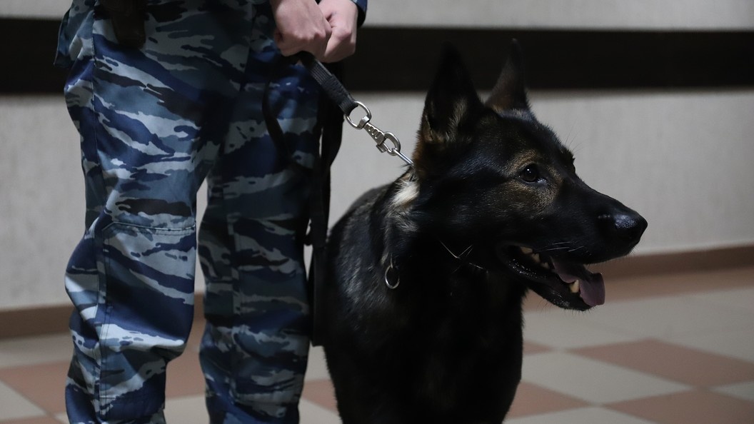    Razmik Zackaryan/URA.RU/Globallookpress