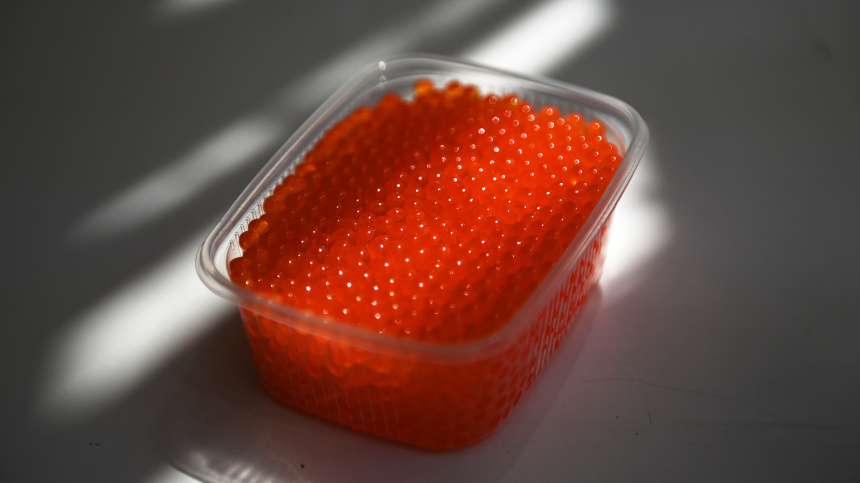    Фото: © РИА Новости/Артур Лебедев; 5-tv.ru